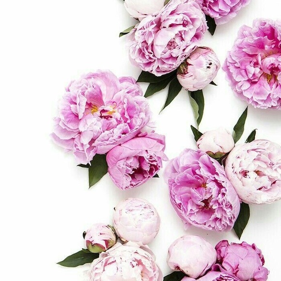 ⚠️⚠️PLEASE READ⚠️⚠️BUNDLE DISCOUNT - Picture 7 of 7